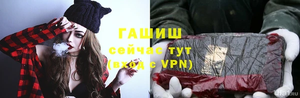 СК Алексин