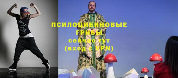 стафф Алексеевка