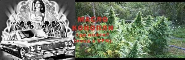 гашик Нягань
