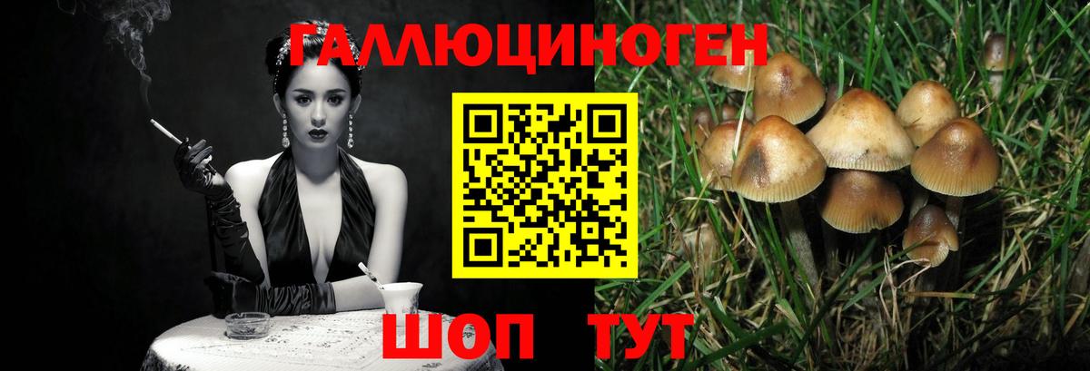 Псилоцибиновые грибы MAGIC MUSHROOMS  Вход с VPN  Псилоцибиновые грибы GOLDEN TEACHER  Нижнеудинск 